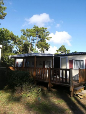 Camping la Palmyre